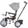 Tricicleta cu sezut reversibil Chipolino Largo asphalt :: Chipolino
